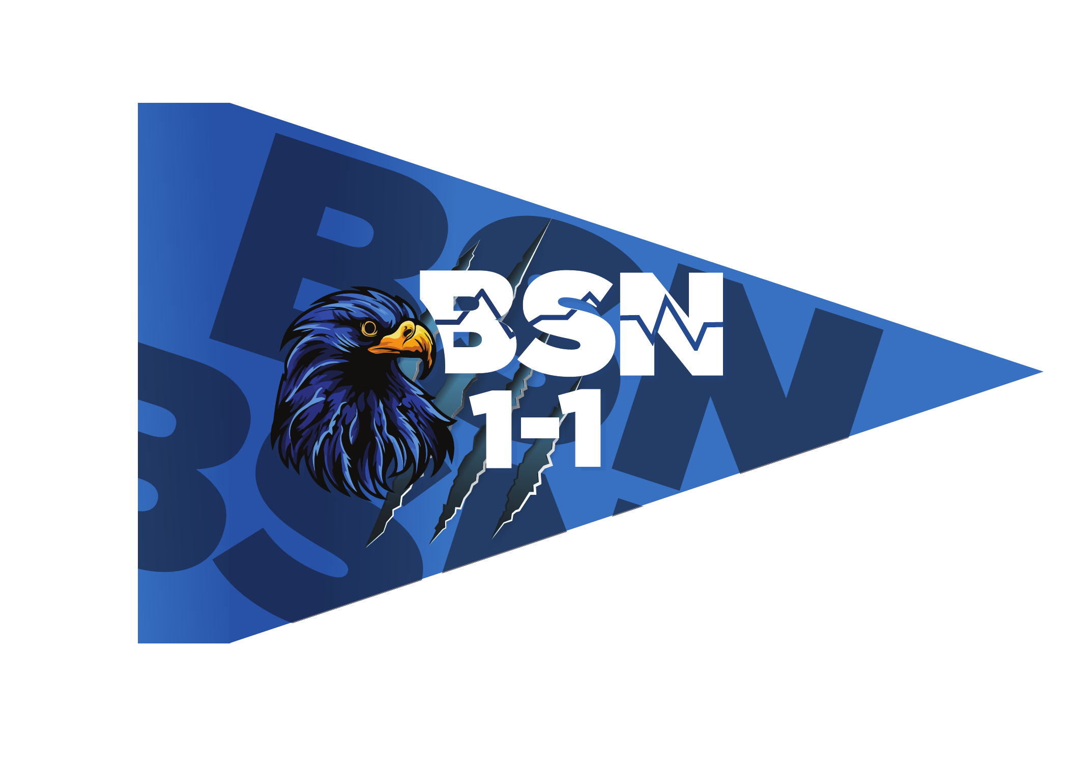 BSN 1-1 flaglet for Cavite State University — eagle mascot with EKG-cut wordmark and claw slashes